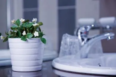 Avis By Ws Group Hotell